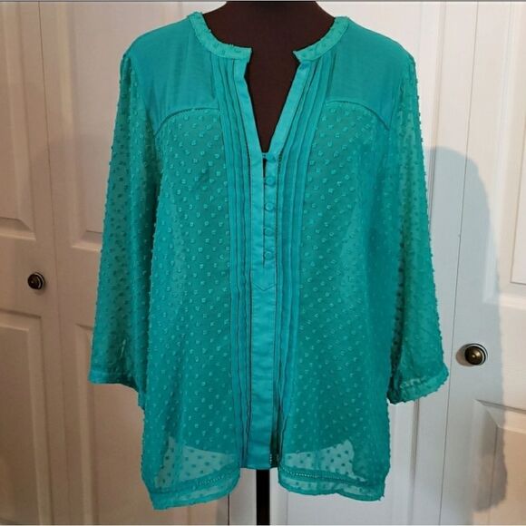 Romy Sheer Green Long Sleeve Blouse - Picture 1 of 7